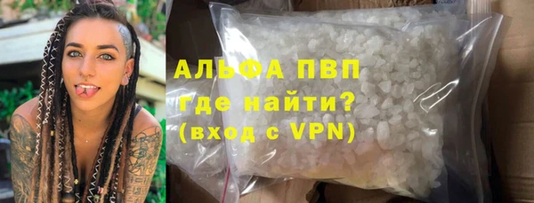 шишки Сатка