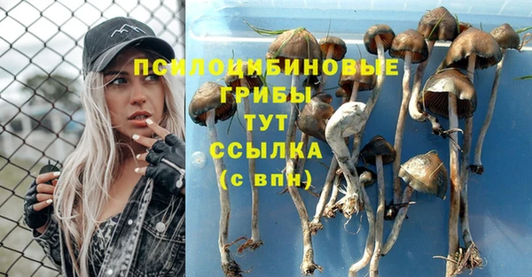 apvp Алексеевка