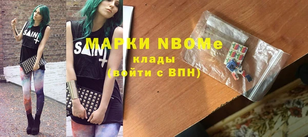 хмурый Алзамай