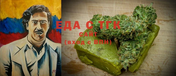 хмурый Алзамай