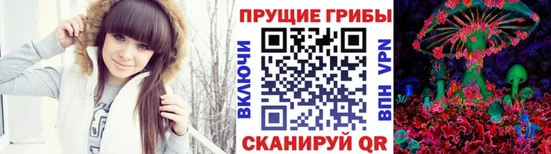 купить наркоту  Котельники  Псилоцибиновые грибы Cubensis 